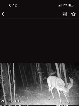 $750,000 | 0 Green Door Road, Eupora, MS 39744