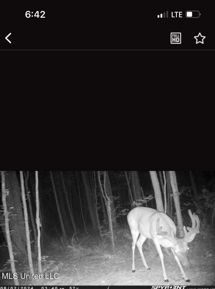 0 Green Door Road Eupora, MS 39744 - Photo 59 of 67 868727045863225028