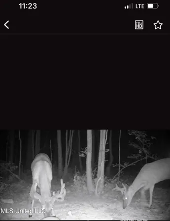 $750,000 | 0 Green Door Road, Eupora, MS 39744