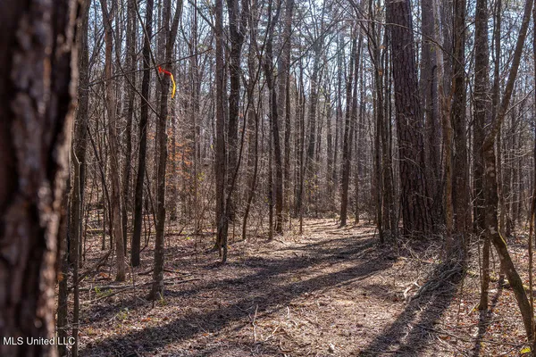 $750,000 | 0 Green Door Road, Eupora, MS 39744