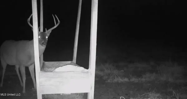 $750,000 | 0 Green Door Road, Eupora, MS 39744