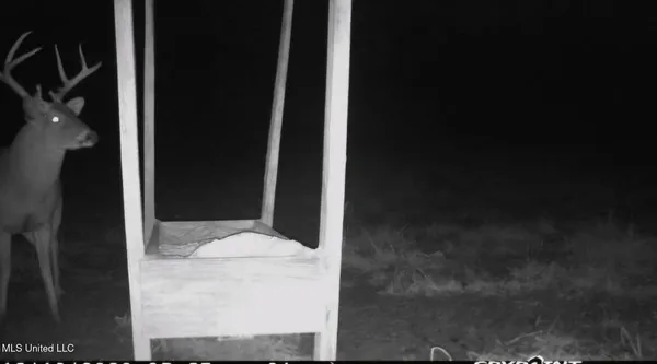 $750,000 | 0 Green Door Road, Eupora, MS 39744