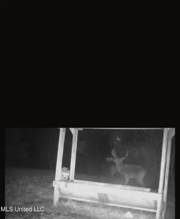 $750,000 | 0 Green Door Road, Eupora, MS 39744