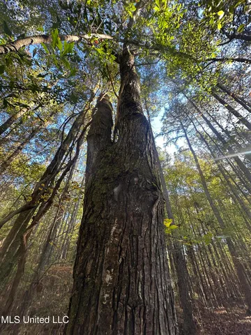 $750,000 | 0 Green Door Road, Eupora, MS 39744