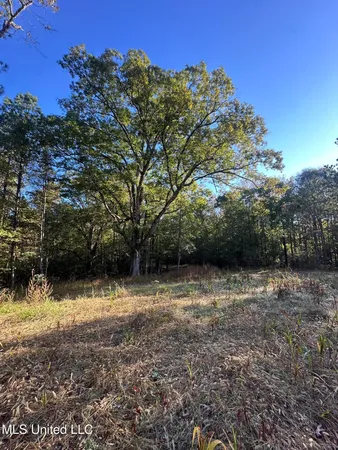 $750,000 | 0 Green Door Road, Eupora, MS 39744