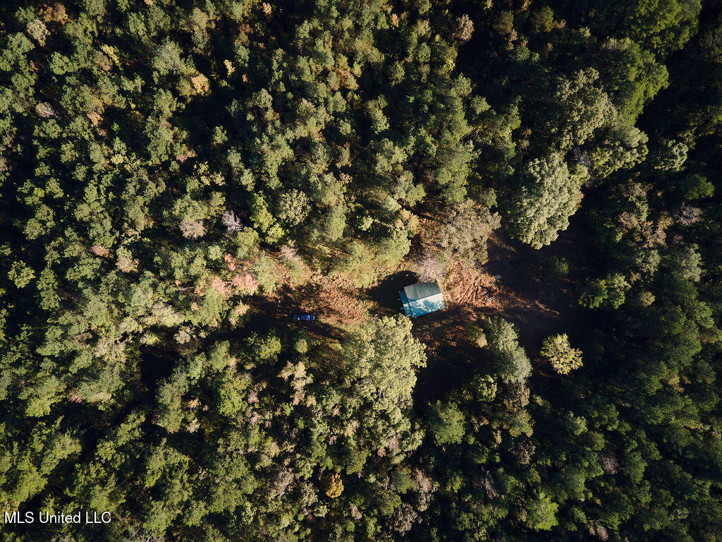0 Green Door Road Eupora, MS 39744 - Photo 7 of 48 DJI_0001