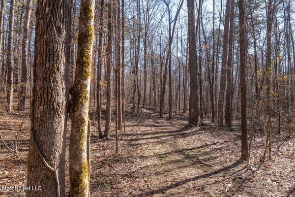 $750,000 | 0 Green Door Road, Eupora, MS 39744