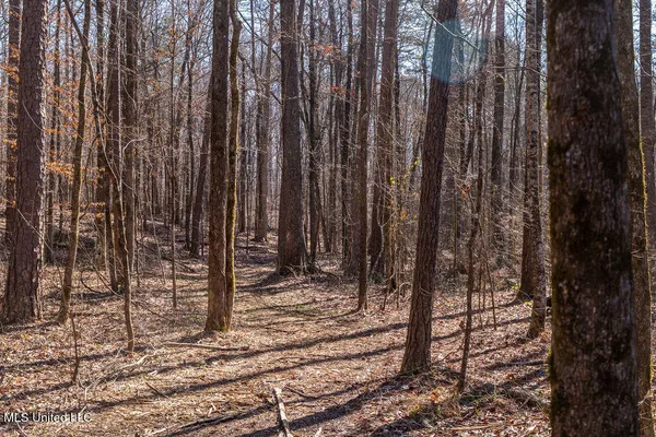 $750,000 | 0 Green Door Road, Eupora, MS 39744