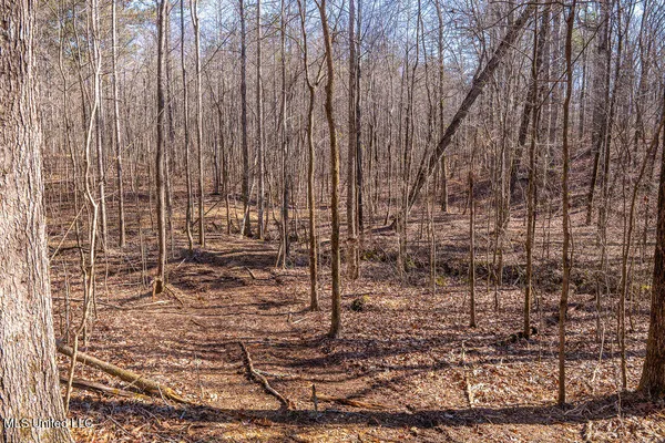 $750,000 | 0 Green Door Road, Eupora, MS 39744