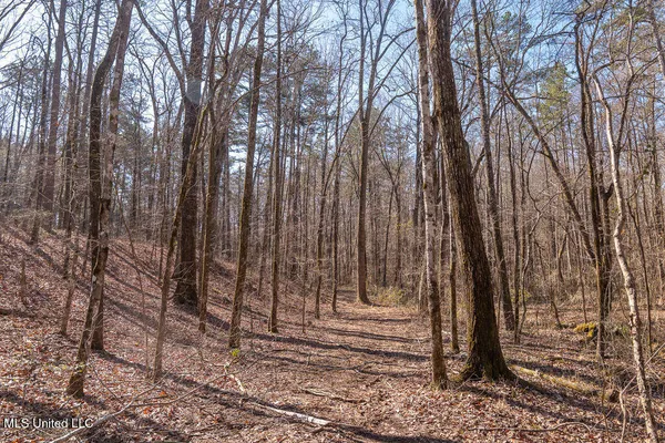 $750,000 | 0 Green Door Road, Eupora, MS 39744