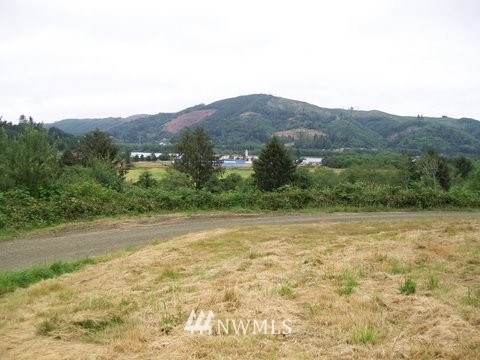 0 Elliot Road Raymond, WA 98577 - Photo 1 of 1 Gallery Image 1