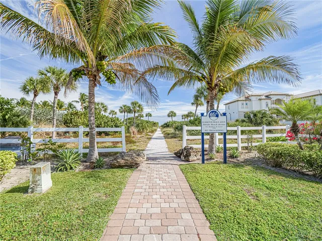 a view of a park with palm trees
