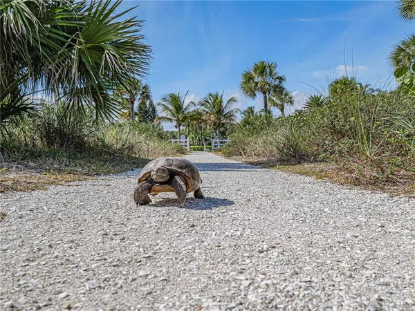 a car parked in front of a road with a house
