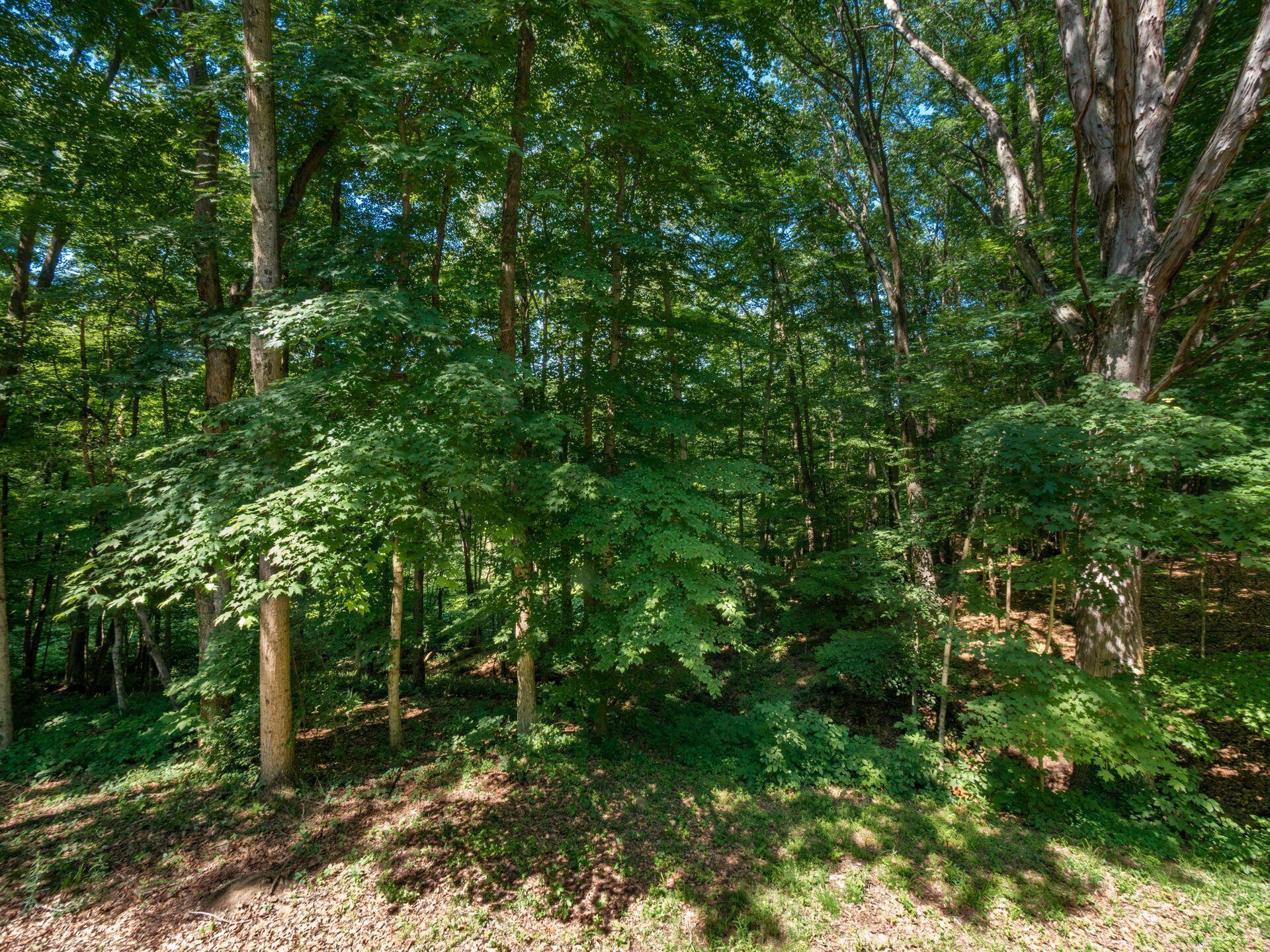 7307 Red Bank Road Westerville, OH 43082 - Photo 70 of 88 .