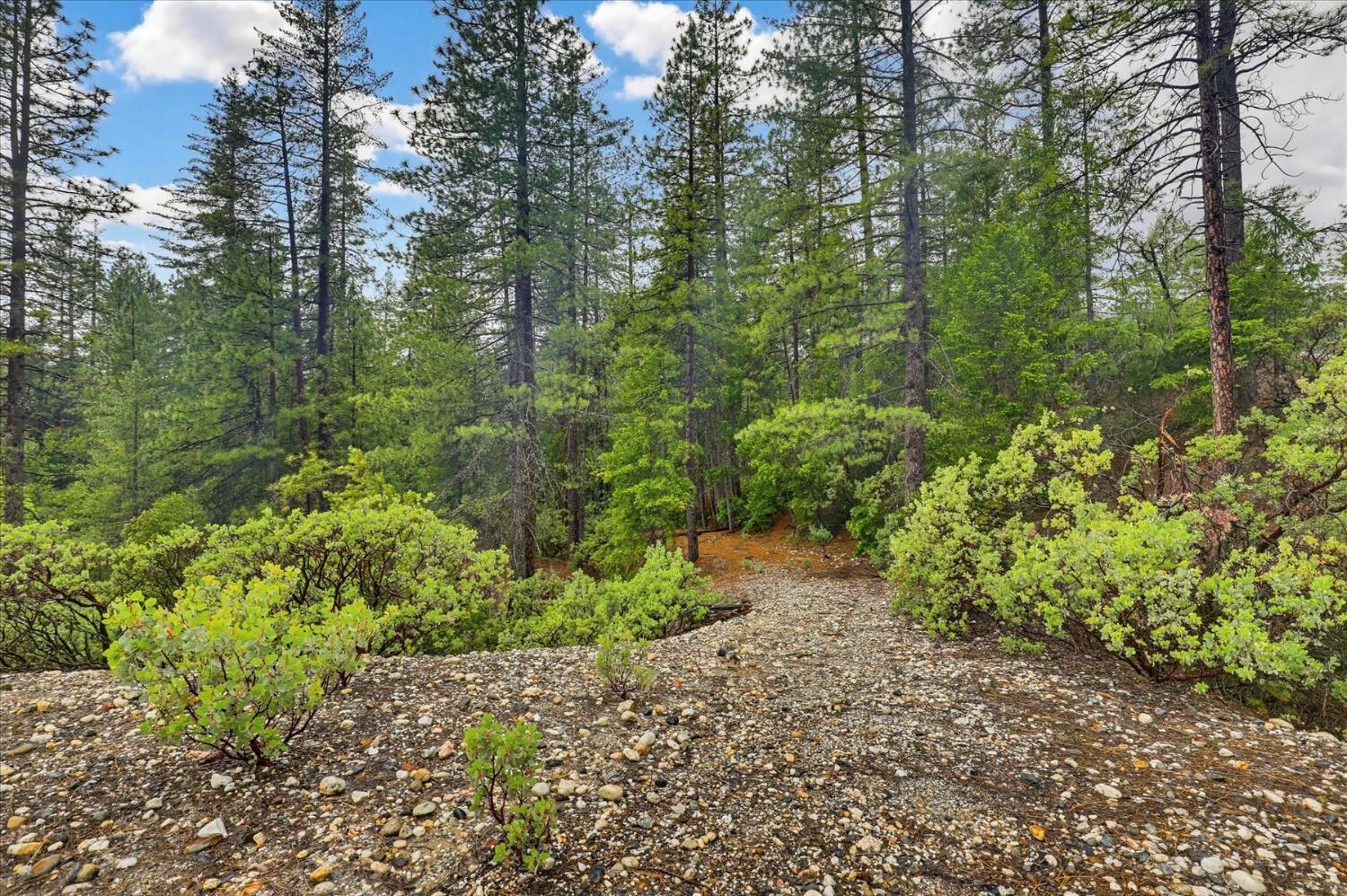 13751 Sailor Flat Road Nevada City, CA 95959 - Photo 35 of 49