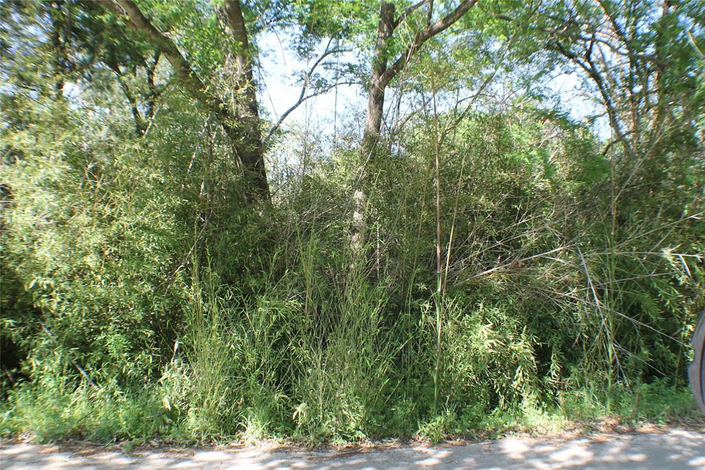 1004 Owhyhe Road Tool, TX 75143 - Photo 4 of 4 a view of a yard