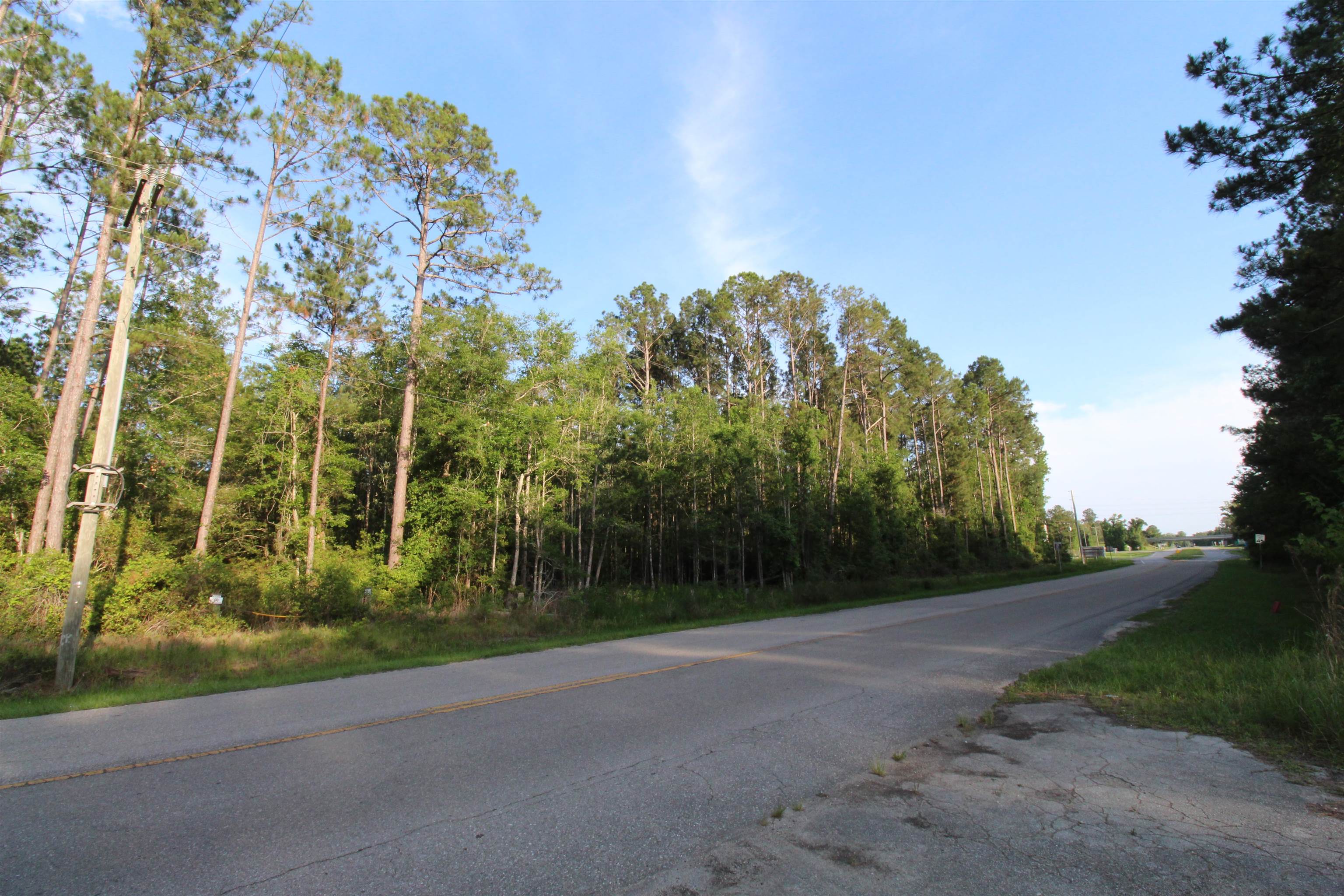 Tbd South Salt Road Monticello, FL 32344 - Photo 9 of 18