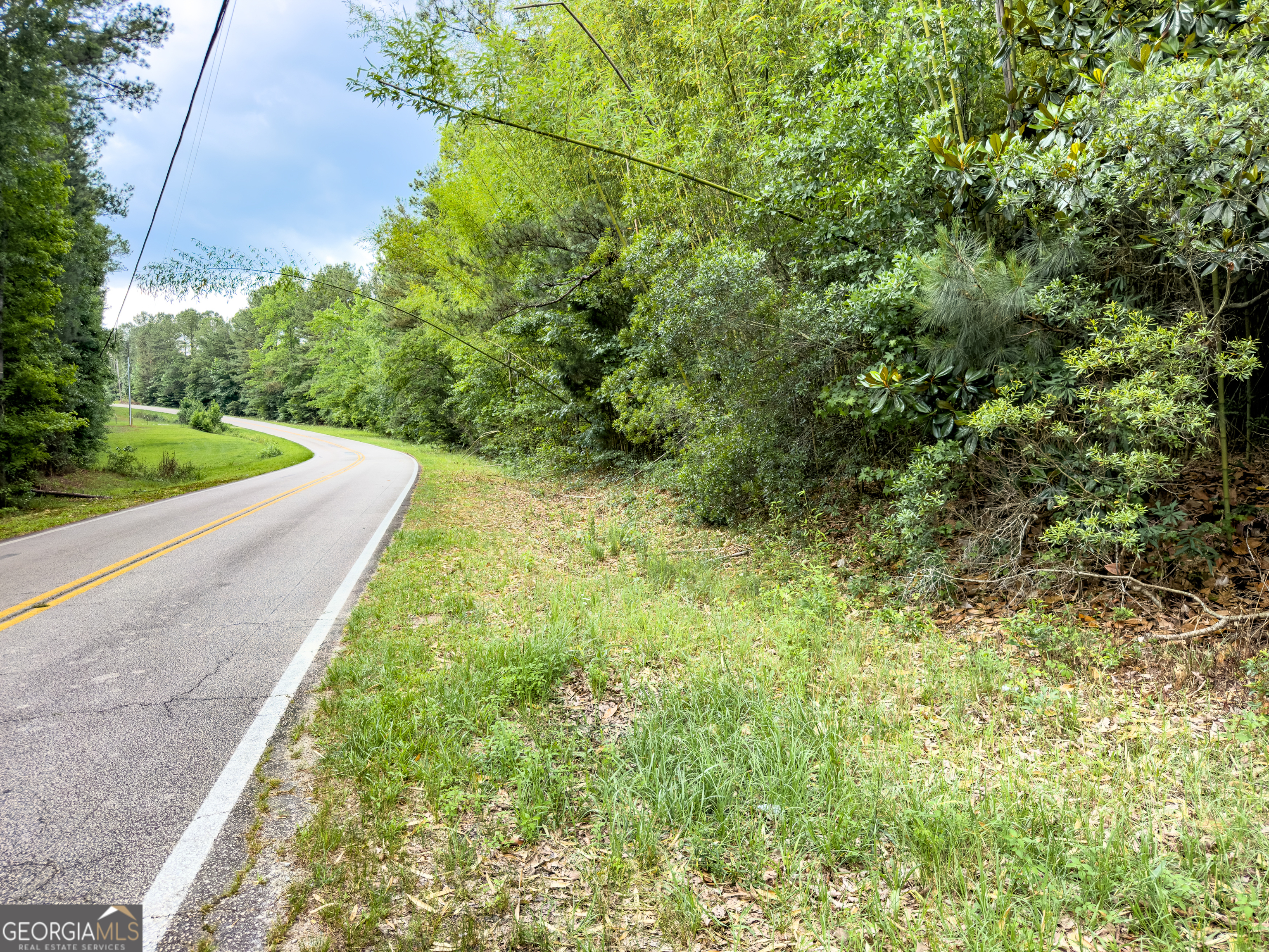 0 John Trammell Road Luthersville, GA 30251 - Photo 15 of 19