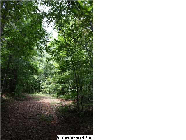 11315 Cragford Road Cragford, AL 36255 - Photo 31 of 32