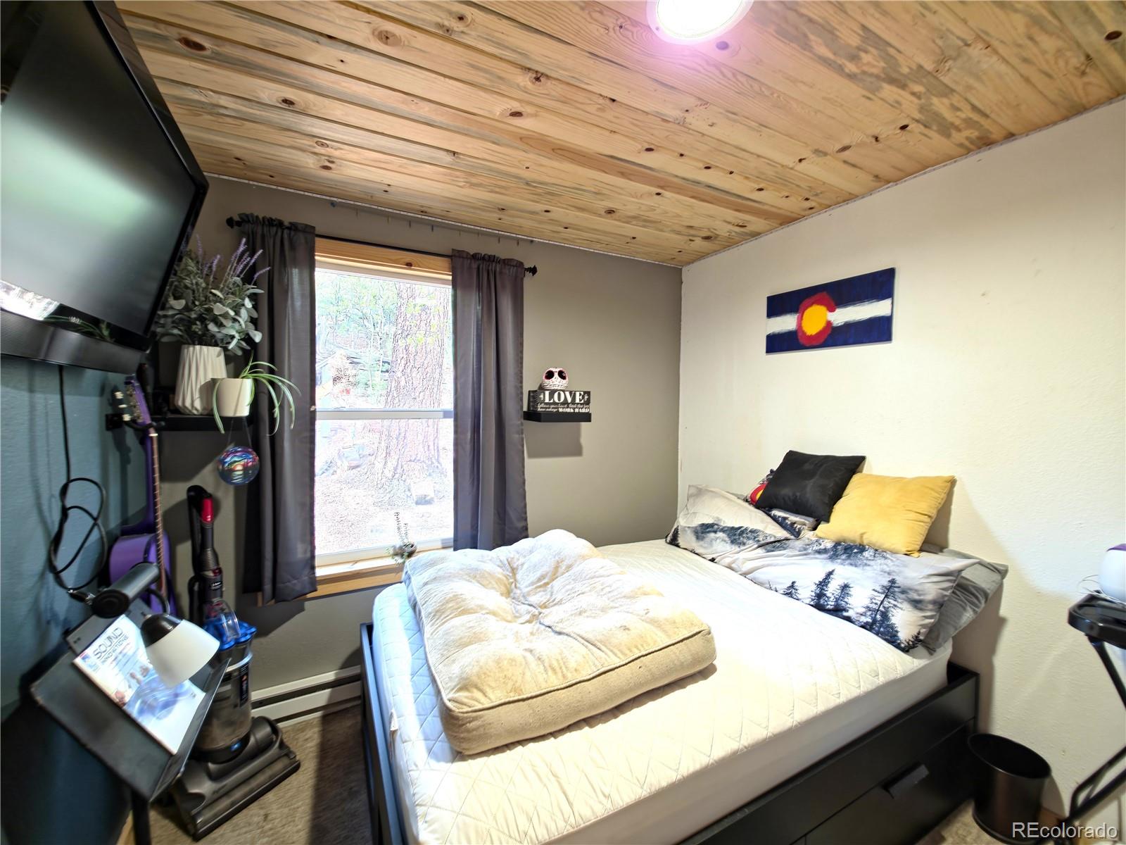 226 Hall Road Bailey, CO 80421 - Photo 13 of 26