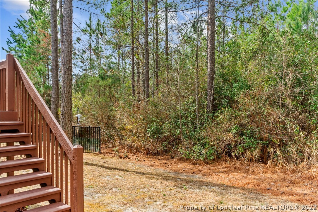 28 Falcon Ridge Drive Spring Lake, NC 28390 - Photo 33 of 35 Gallery Image 33