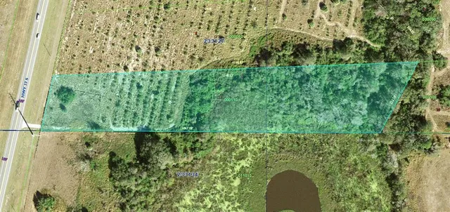 a bird view of a garden