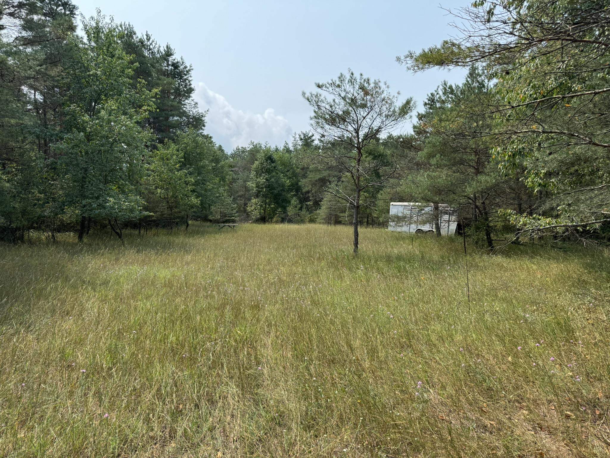 8590 Homestead Road Benzonia, MI 49616 - Photo 7 of 9 1949183-05e8fc1e-2142-4981-a068-4df02e4abab6.JPG