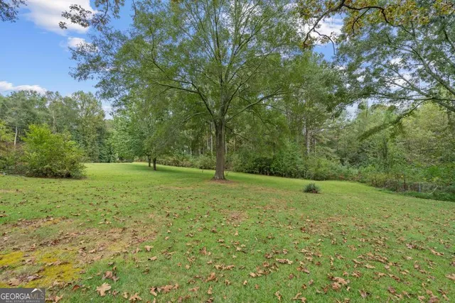 a view of a field with an trees