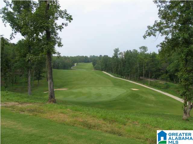 2130 Timberline Drive Calera, AL 35040 - Photo 38 of 41