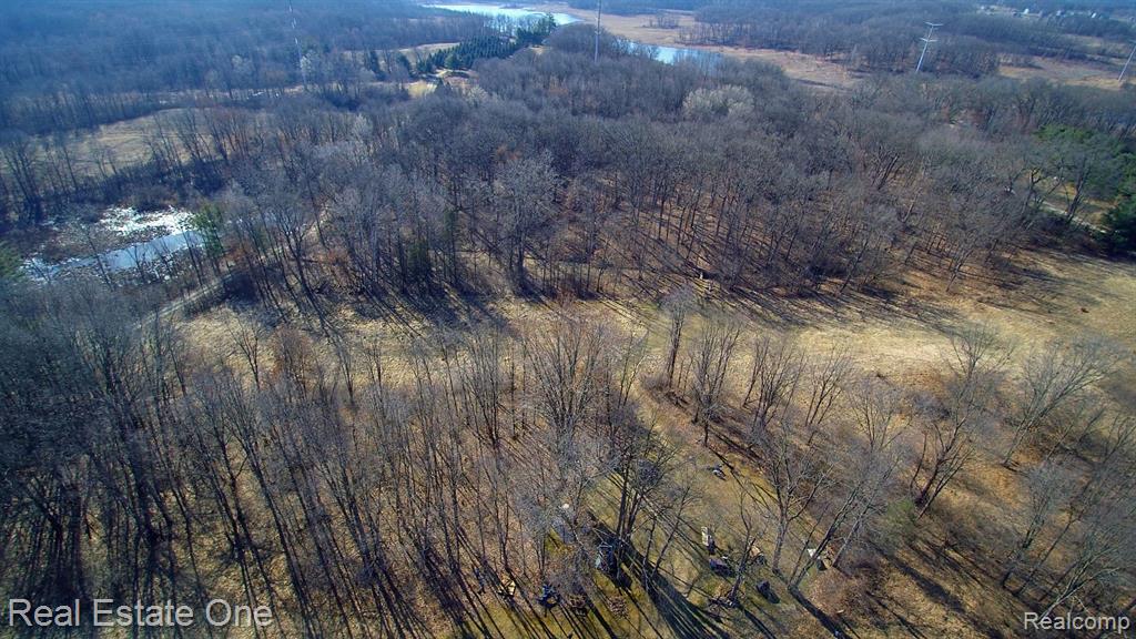 Vl Rattalee Lake Road Davisburg, MI 48350 - Photo 4 of 14