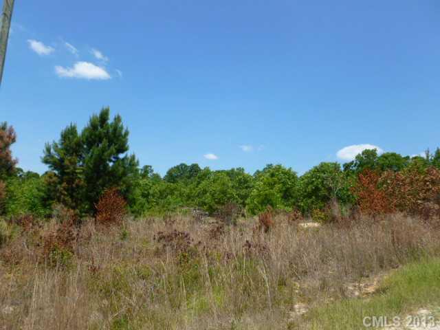 17-18 Locatis Lane, Unit 17 18 Ruby, SC 29741 - Photo 1 of 3 Gallery Image 1