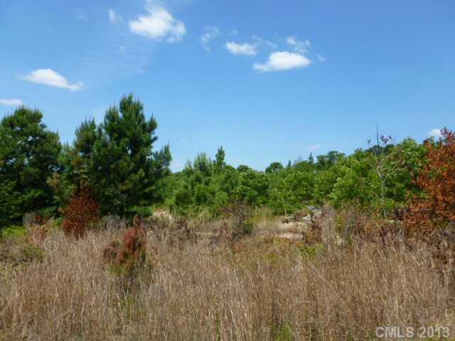 17-18 Locatis Lane, Unit 17 18 Ruby, SC 29741 - Photo 3 of 3 Gallery Image 3