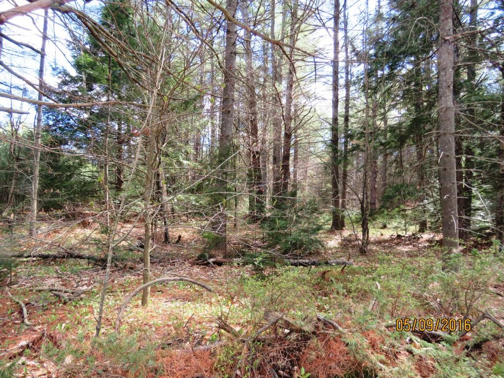 0 Hilliard Road Chichester, NH 03258 - Photo 3 of 8
