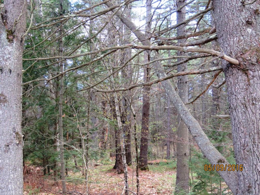 0 Hilliard Road Chichester, NH 03258 - Photo 6 of 8