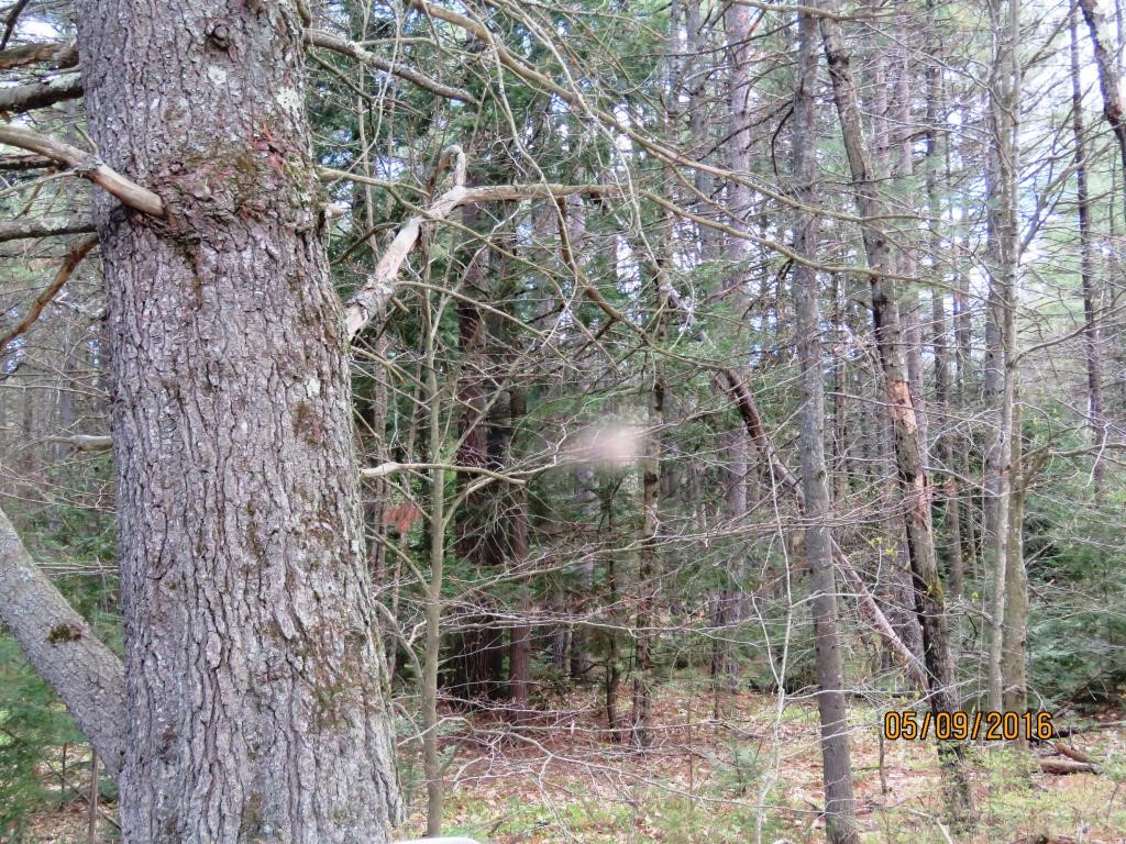 0 Hilliard Road Chichester, NH 03258 - Photo 8 of 8