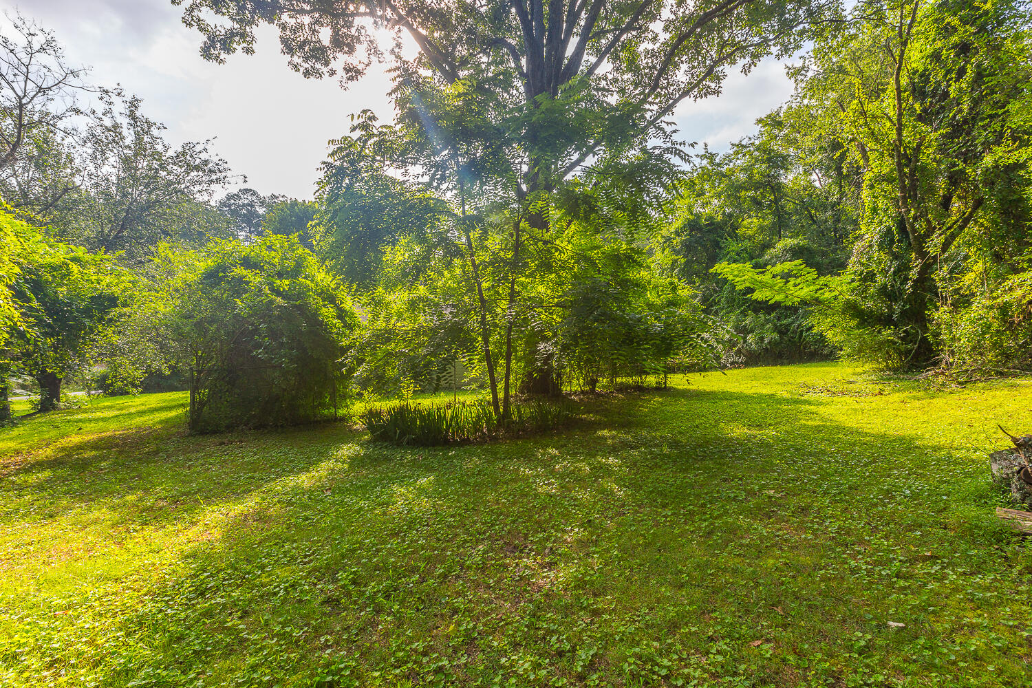 6405 Hunter Road Harrison, TN 37341 - Photo 16 of 28 6405 Hunter Road HD_-8