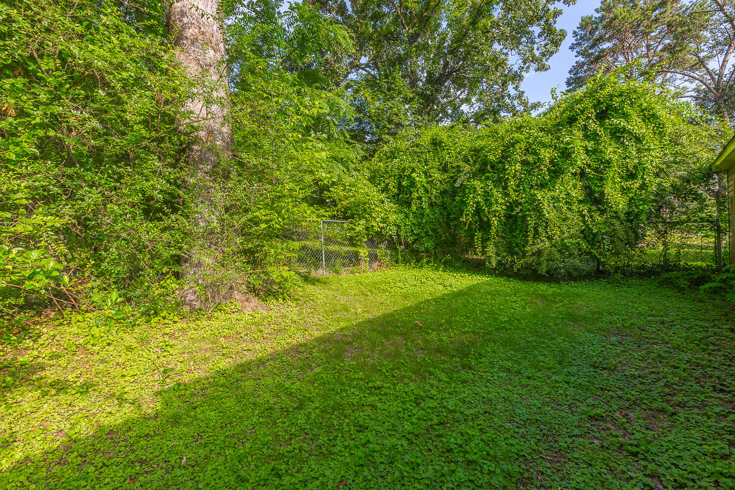 6405 Hunter Road Harrison, TN 37341 - Photo 17 of 28 6405 Hunter Road HD_-11