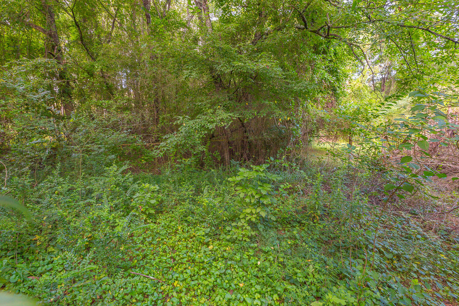 6405 Hunter Road Harrison, TN 37341 - Photo 22 of 28 6405 Hunter Road HD_-16