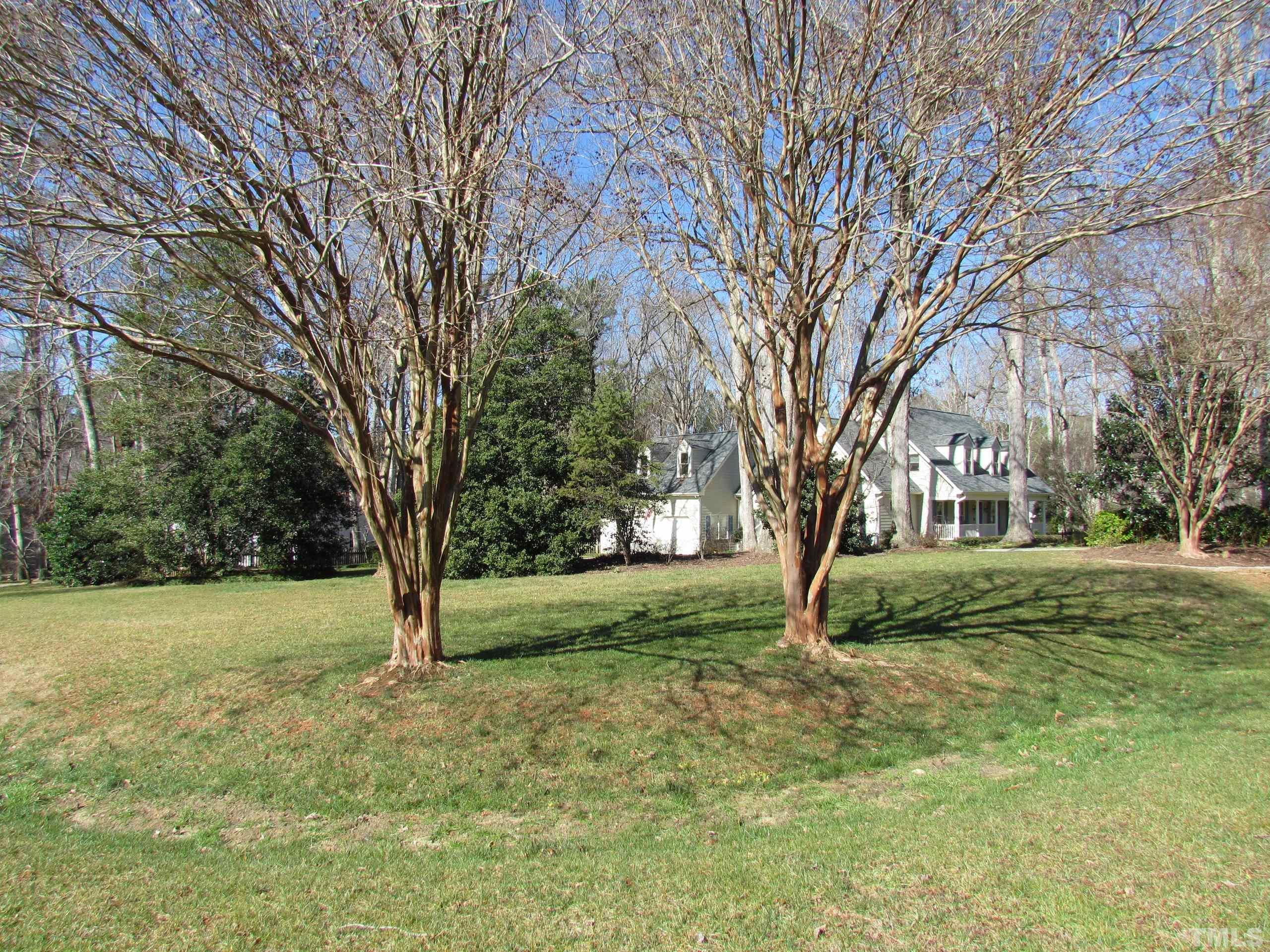 12001 Pembridge Lane Raleigh, NC 27613 - Photo 6 of 53 a view of a trees in a yard