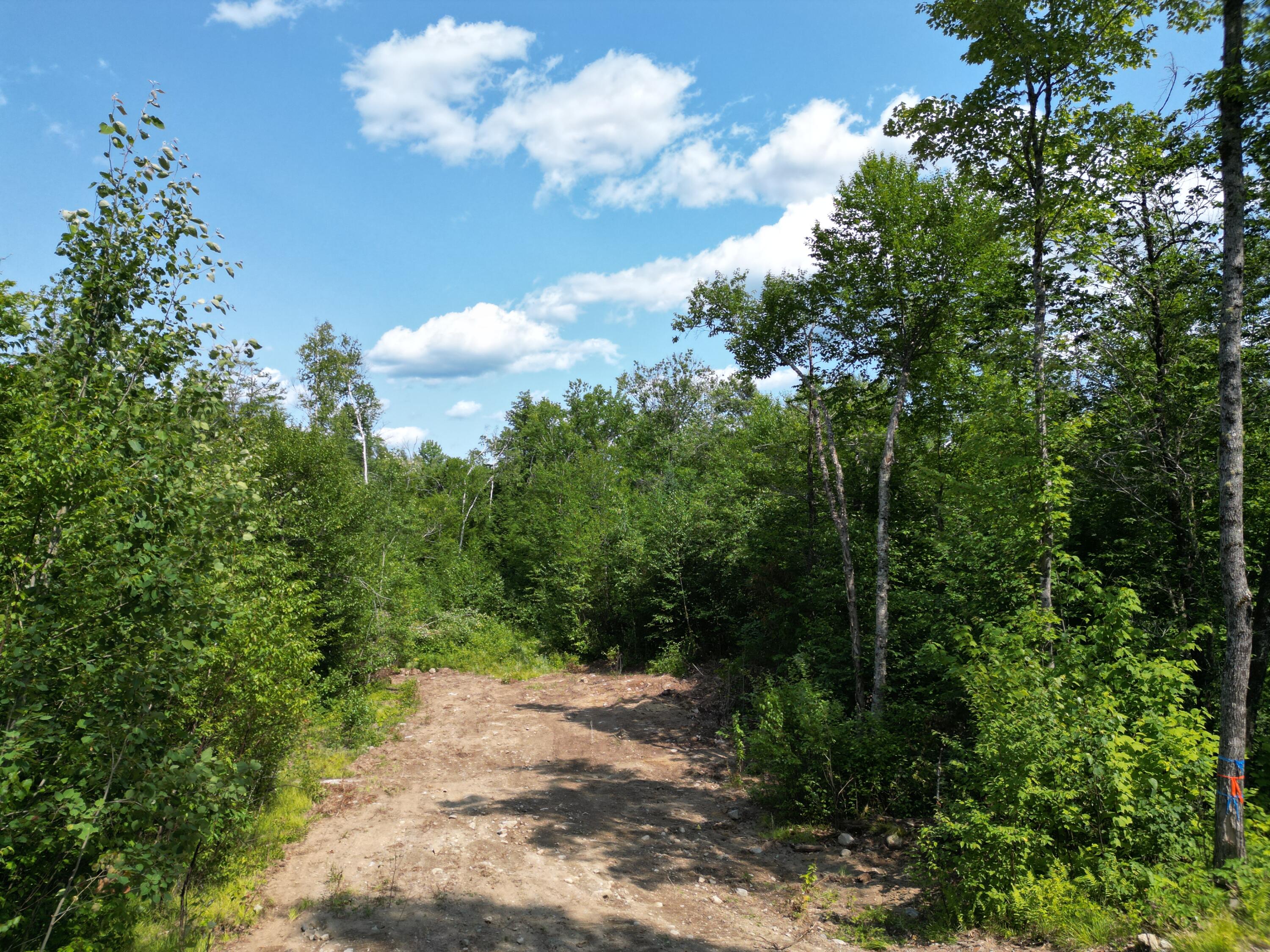 Lot 18-2 Madagascal Pond Road Burlington, ME 04417 - Photo 5 of 12 dji_fly_20260709_172428_950_178481322726