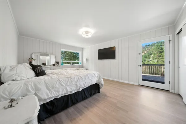 a view of a yard with plants