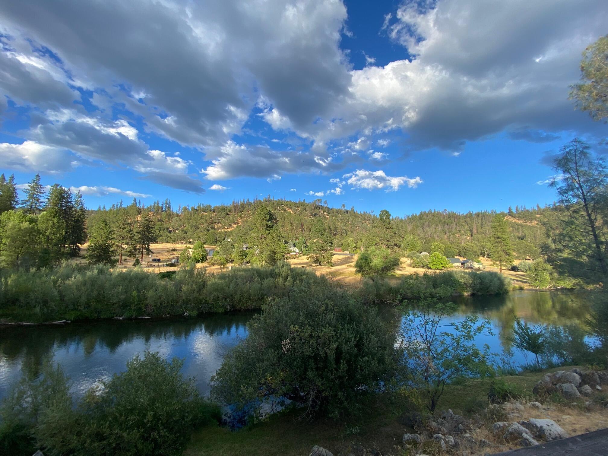 61 Chief George Lewiston, CA 96052 - Photo 5 of 101 a view of a lake in middle of forest