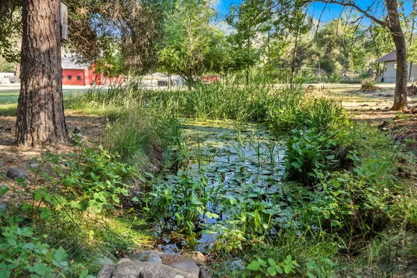 $634,516 | 61 Chief George, Lewiston, CA 96052