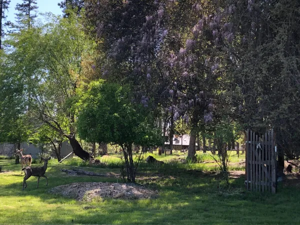 a view of a swimming pool with an outdoor space and seating area