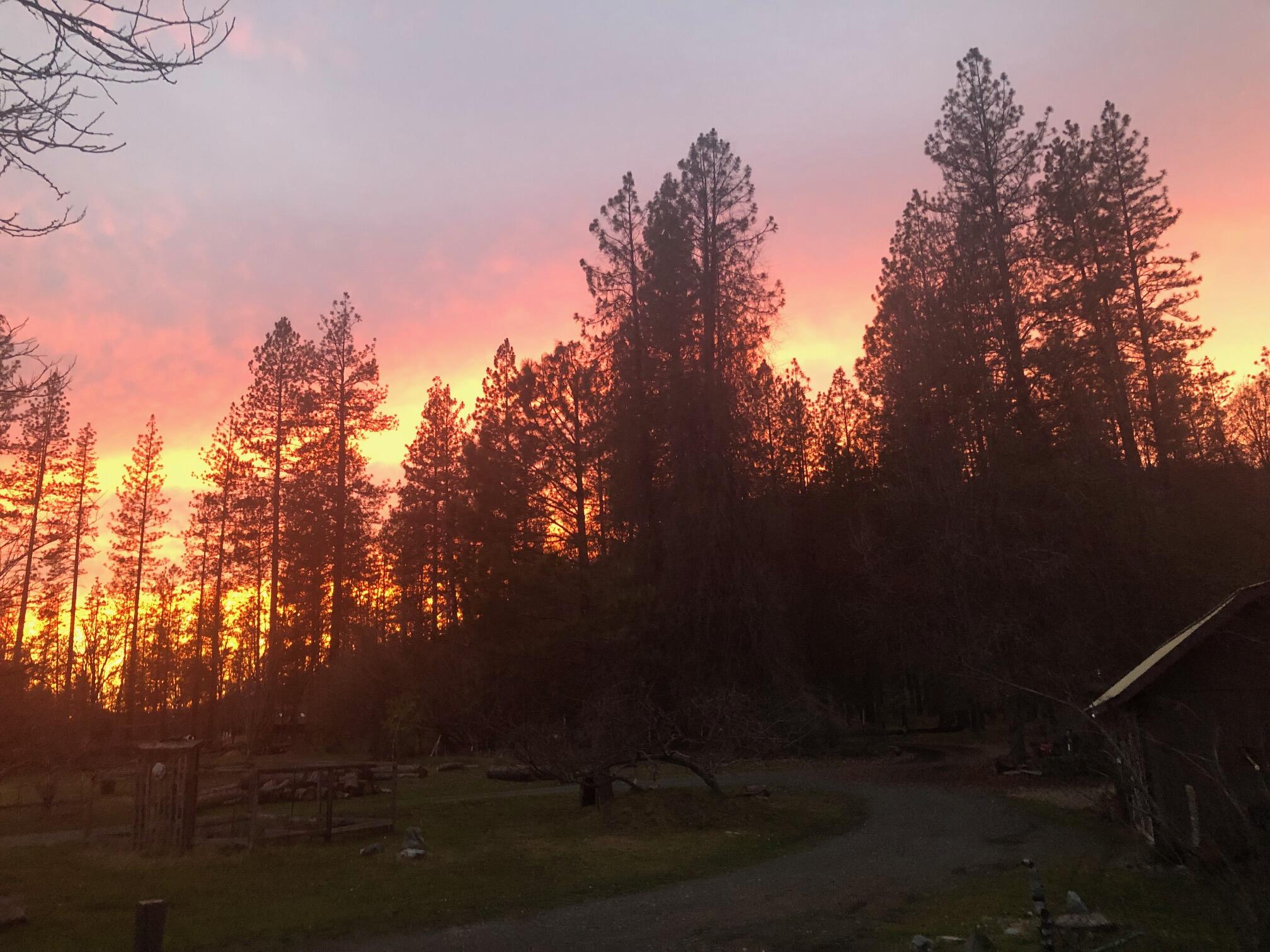 61 Chief George Lewiston, CA 96052 - Photo 91 of 101 14