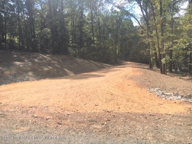 457 Broadway Road Winfield, AL 35594 - Photo 11 of 16 Gallery Image 11