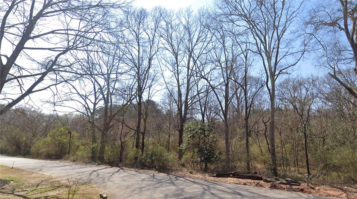 300 Old Colony Road Anderson, SC 29621 - Photo 2 of 2 A spacious lot bordered by mature trees provides a prime building opportunity.