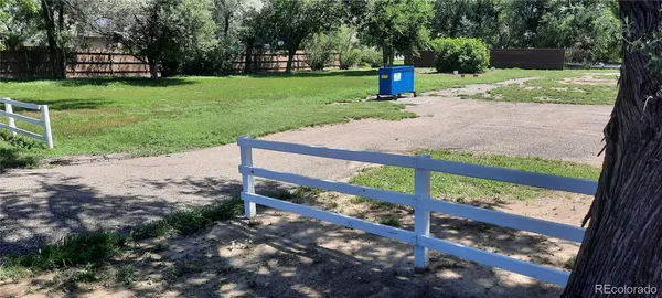 a view of a park with large trees