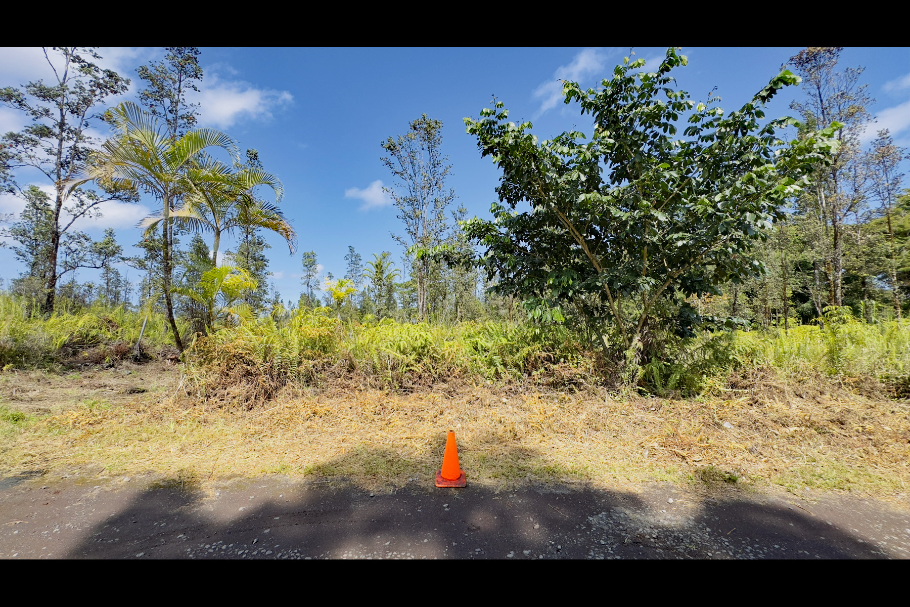 2444 Uhini Ana Road Mountain View, HI 96771 - Photo 14 of 27 a view of a yard with plants and tree