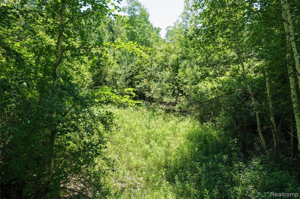 2898 Lakeshore Road Applegate, MI 48401 - Photo 17 of 19 Gallery Image 17